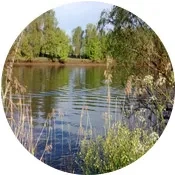 images-homepage-02 visitez St Sulpice de Faleyrens